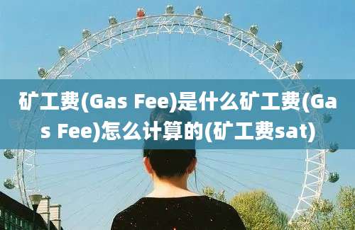 矿工费(Gas Fee)是什么矿工费(Gas Fee)怎么计算的(矿工费sat)