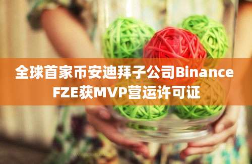 全球首家币安迪拜子公司Binance FZE获MVP营运许可证