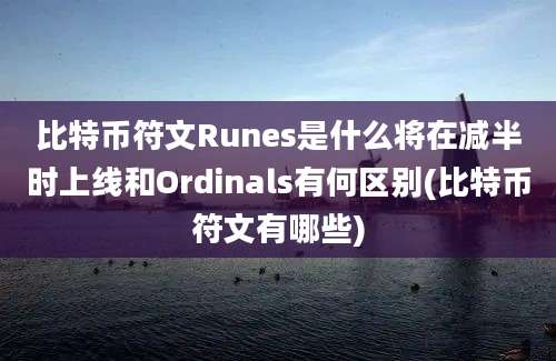 比特币符文Runes是什么将在减半时上线和Ordinals有何区别(比特币符文有哪些)