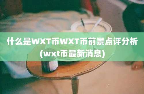 什么是WXT币WXT币前景点评分析(wxt币最新消息)