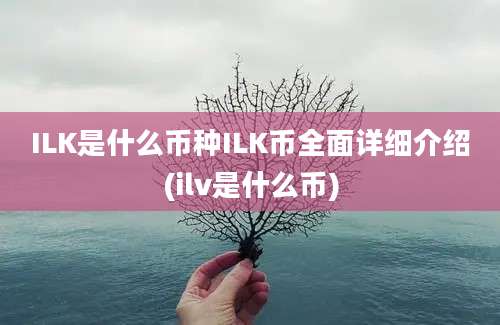 ILK是什么币种ILK币全面详细介绍(ilv是什么币)