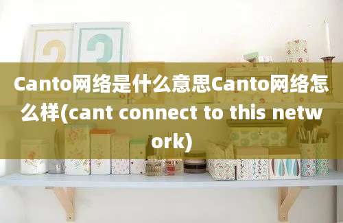 Canto网络是什么意思Canto网络怎么样(cant connect to this network)