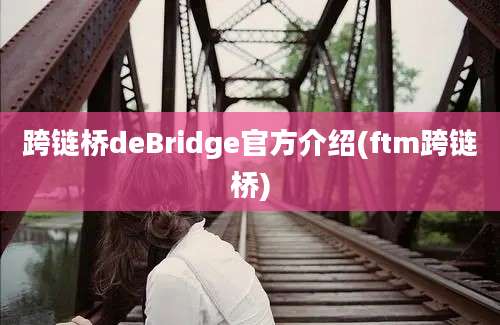 跨链桥deBridge官方介绍(ftm跨链桥)