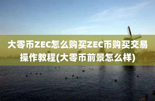 大零币ZEC怎么购买ZEC币购买交易操作教程(大零币前景怎么样)