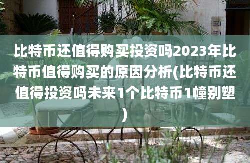 比特币还值得购买投资吗2023年比特币值得购买的原因分析(比特币还值得投资吗未来1个比特币1幢别塑)