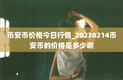 币安币价格今日行情_20230214币安币的价格是多少啊