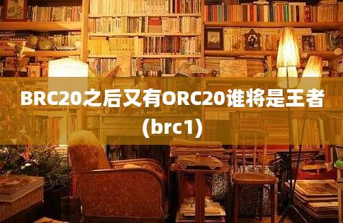 BRC20之后又有ORC20谁将是王者(brc1)