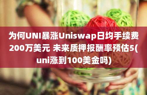 为何UNI暴涨Uniswap日均手续费200万美元 未来质押报酬率预估5(uni涨到100美金吗)