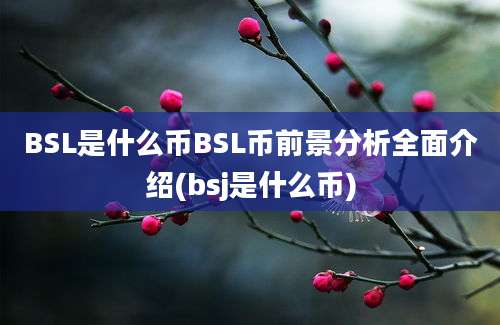 BSL是什么币BSL币前景分析全面介绍(bsj是什么币)