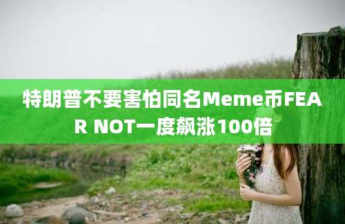 特朗普不要害怕同名Meme币FEAR NOT一度飙涨100倍