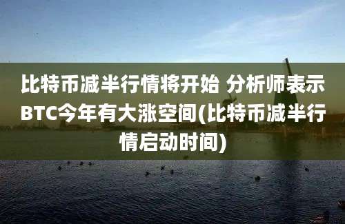 比特币减半行情将开始 分析师表示BTC今年有大涨空间(比特币减半行情启动时间)