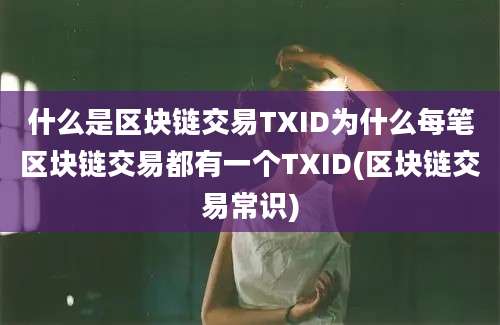 什么是区块链交易TXID为什么每笔区块链交易都有一个TXID(区块链交易常识)