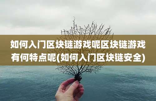 如何入门区块链游戏呢区块链游戏有何特点呢(如何入门区块链安全)