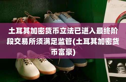 土耳其加密货币立法已进入最终阶段交易所须满足监管(土耳其加密货币富豪)