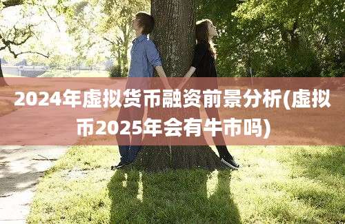 2024年虚拟货币融资前景分析(虚拟币2025年会有牛市吗)