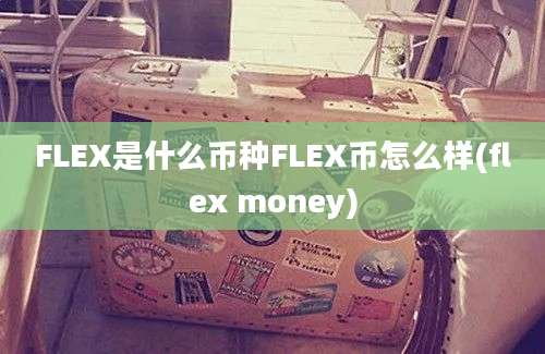 FLEX是什么币种FLEX币怎么样(flex money)