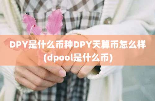 DPY是什么币种DPY天算币怎么样(dpool是什么币)