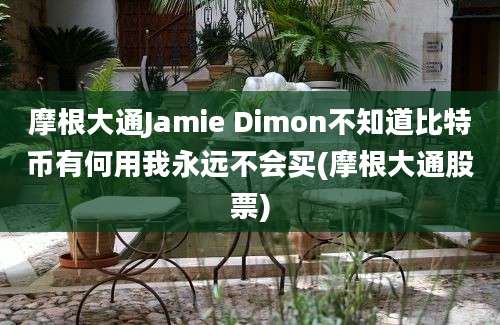 摩根大通Jamie Dimon不知道比特币有何用我永远不会买(摩根大通股票)