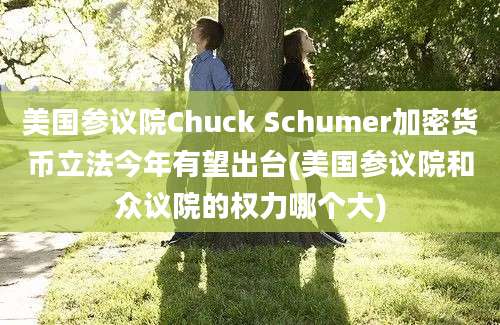 美国参议院Chuck Schumer加密货币立法今年有望出台(美国参议院和众议院的权力哪个大)