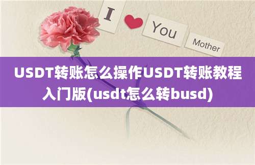 USDT转账怎么操作USDT转账教程入门版(usdt怎么转busd)