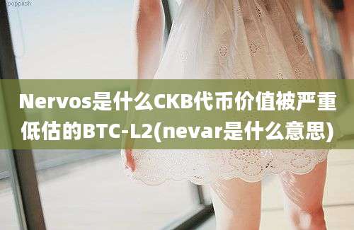 Nervos是什么CKB代币价值被严重低估的BTC-L2(nevar是什么意思)