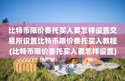 比特币限价委托买入要怎样设置交易所设置比特币限价委托买入教程(比特币限价委托买入要怎样设置)