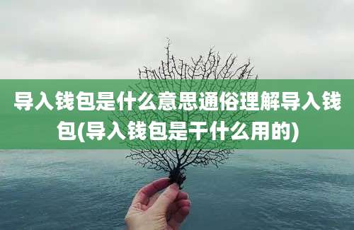 导入钱包是什么意思通俗理解导入钱包(导入钱包是干什么用的)