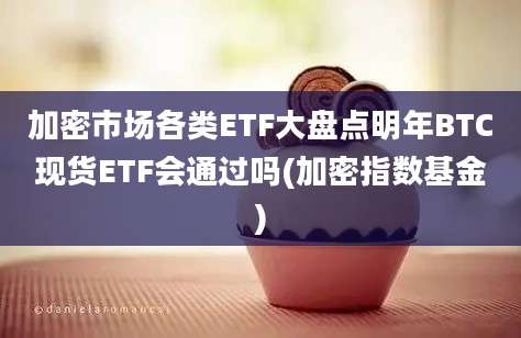 加密市场各类ETF大盘点明年BTC现货ETF会通过吗(加密指数基金)