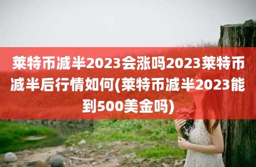 莱特币减半2023会涨吗2023莱特币减半后行情如何(莱特币减半2023能到500美金吗)