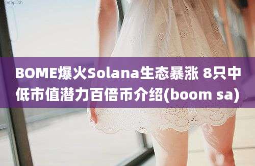 BOME爆火Solana生态暴涨 8只中低市值潜力百倍币介绍(boom sa)