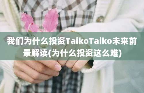 我们为什么投资TaikoTaiko未来前景解读(为什么投资这么难)