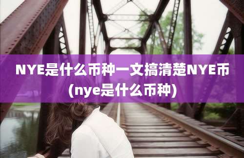 NYE是什么币种一文搞清楚NYE币(nye是什么币种)