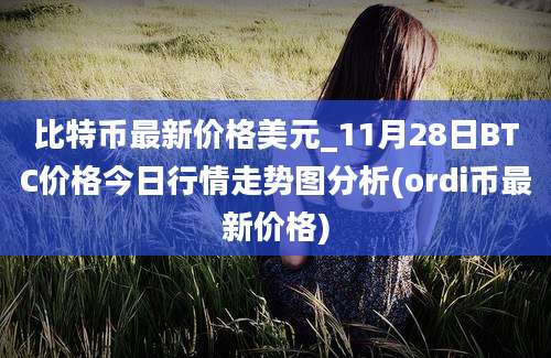 比特币最新价格美元_11月28日BTC价格今日行情走势图分析(ordi币最新价格)