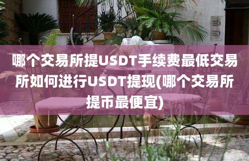 哪个交易所提USDT手续费最低交易所如何进行USDT提现(哪个交易所提币最便宜)