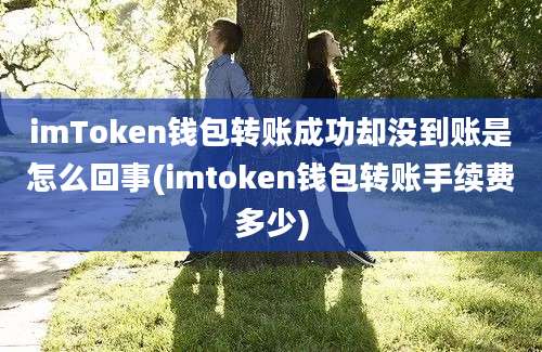 imToken钱包转账成功却没到账是怎么回事(imtoken钱包转账手续费多少)