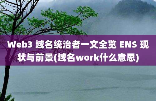 Web3 域名统治者一文全览 ENS 现状与前景(域名work什么意思)