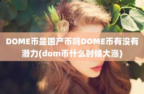 DOME币是国产币吗DOME币有没有潜力(dom币什么时候大涨)