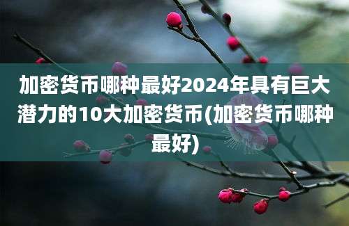 加密货币哪种最好2024年具有巨大潜力的10大加密货币(加密货币哪种最好)