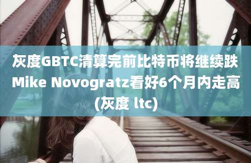 灰度GBTC清算完前比特币将继续跌Mike Novogratz看好6个月内走高(灰度 ltc)