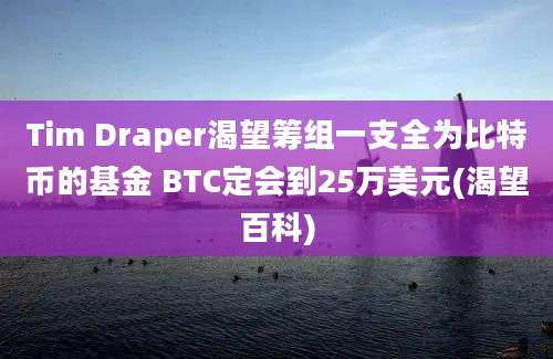 Tim Draper渴望筹组一支全为比特币的基金 BTC定会到25万美元(渴望百科)