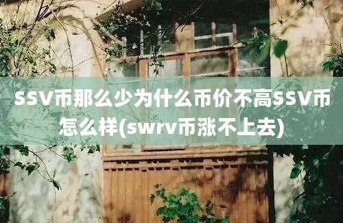 SSV币那么少为什么币价不高SSV币怎么样(swrv币涨不上去)