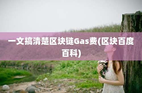 一文搞清楚区块链Gas费(区块百度百科)