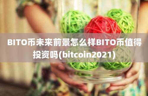 BITO币未来前景怎么样BITO币值得投资吗(bitcoin2021)