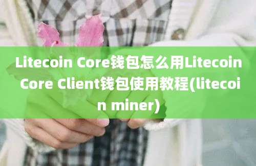 Litecoin Core钱包怎么用Litecoin Core Client钱包使用教程(litecoin miner)