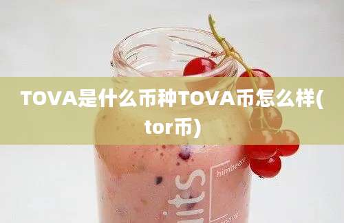 TOVA是什么币种TOVA币怎么样(tor币)