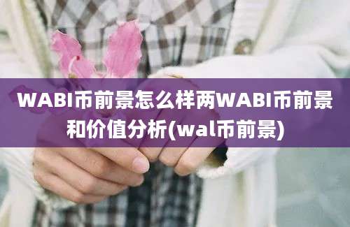 WABI币前景怎么样两WABI币前景和价值分析(wal币前景)