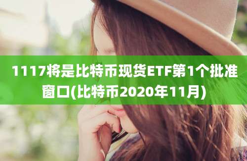 1117将是比特币现货ETF第1个批准窗口(比特币2020年11月)