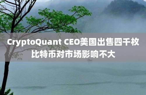 CryptoQuant CEO美国出售四千枚比特币对市场影响不大