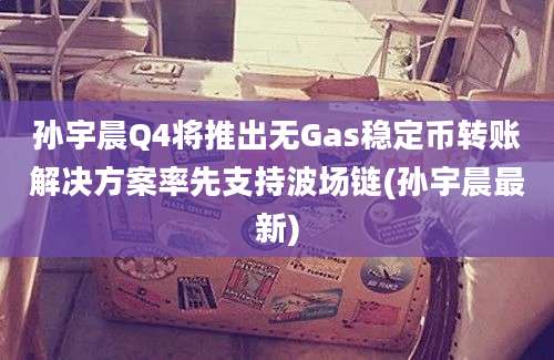 孙宇晨Q4将推出无Gas稳定币转账解决方案率先支持波场链(孙宇晨最新)