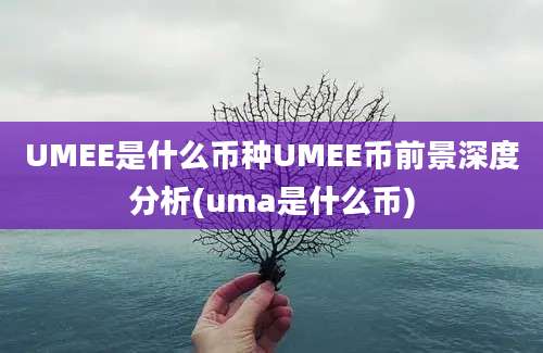 UMEE是什么币种UMEE币前景深度分析(uma是什么币)